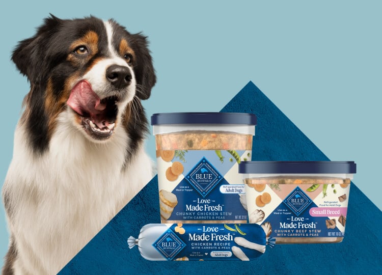 A black-and-brown dog is licking its mouth next to 2 tubs and 1 roll of Love Made Fresh refrigerated dog food