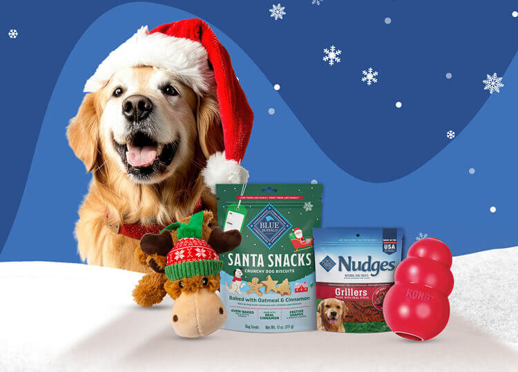 A beaming golden retriever wearing a Santa hat is behind two packs of BLUE dog treats and two KONG toys. 