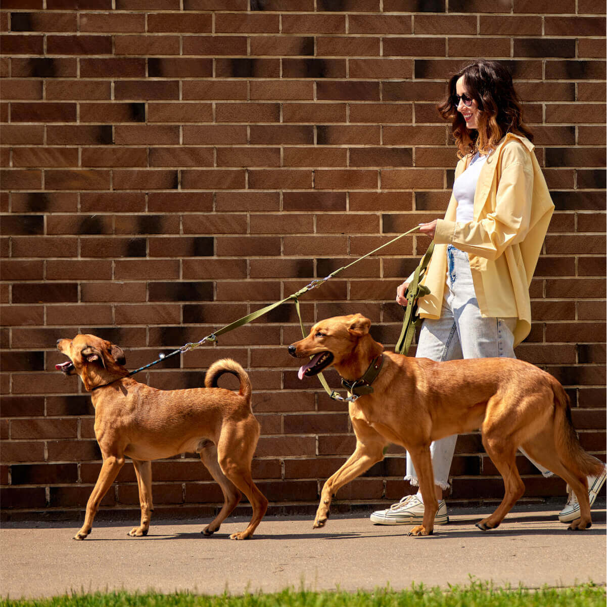 A lady with two dogs