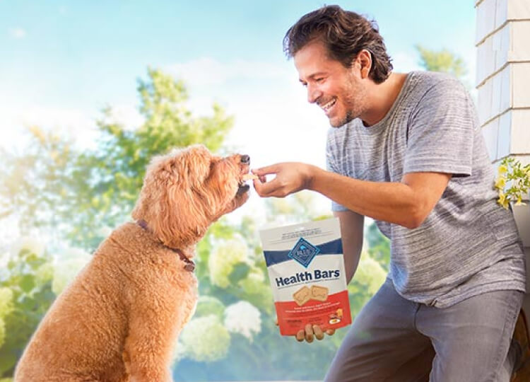 A man is smiling and feeding his dog a BLUE Health Bar treat on his front porch. He’s holding a bag of BLUE Health Bars. 