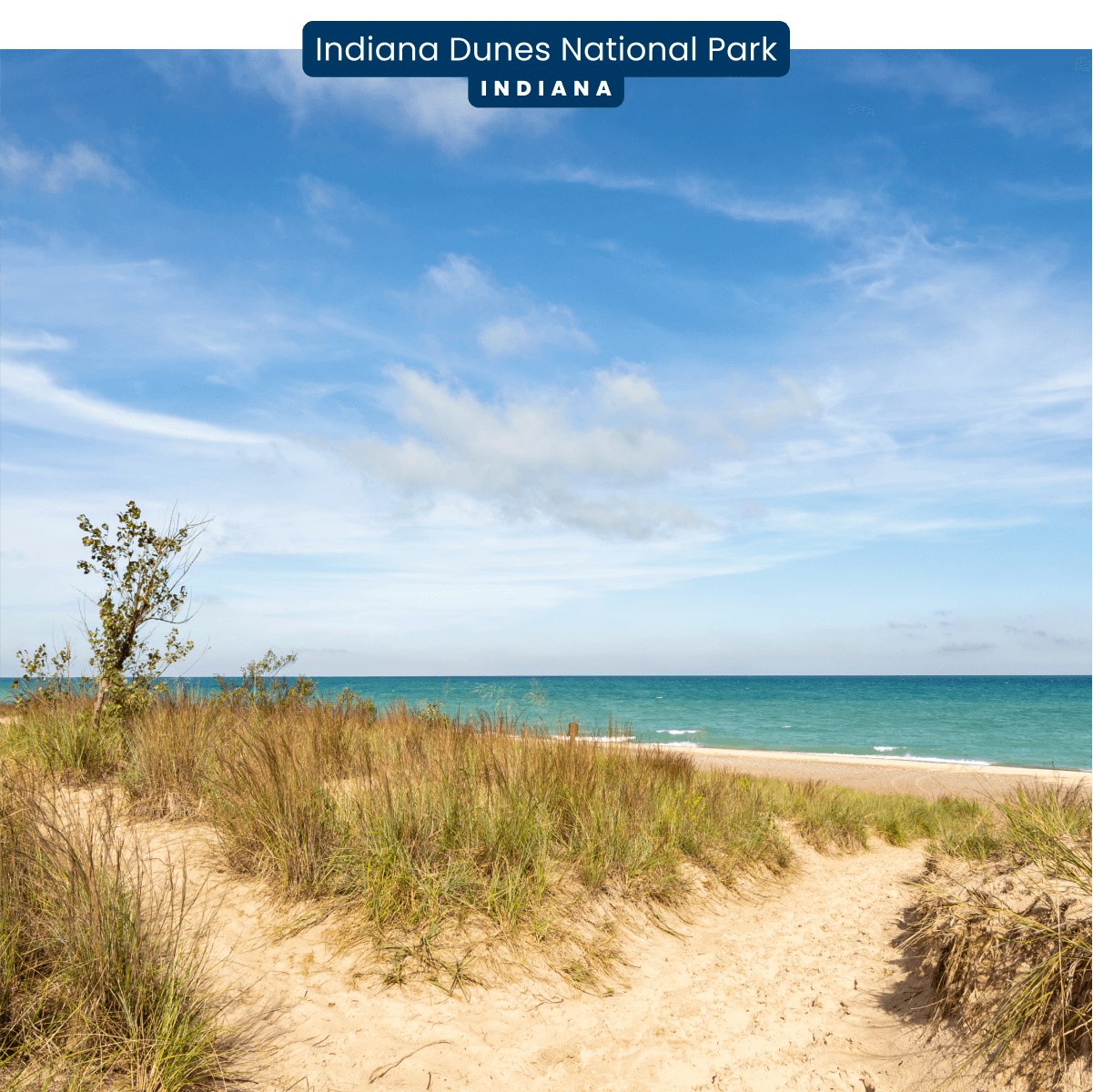 A sandy path with tall wispy grass leads to a shore with blue water in Indiana Dunes National Park, Indiana.