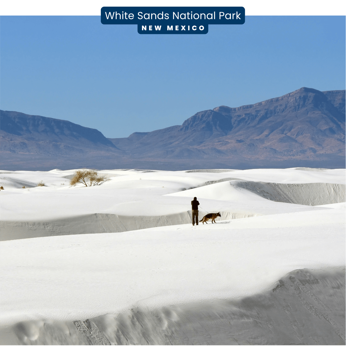 A person and their dog are standing on white sand dunes with a towering rocky backdrop in White Sands National Park, New Mexico.